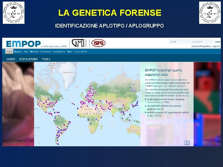 LA GENETICA FORENSE IDENTIFICAZIONE APLOTIPO / APLOGRUPPO 