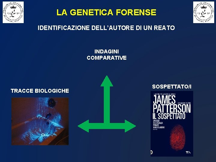 LA GENETICA FORENSE IDENTIFICAZIONE DELL’AUTORE DI UN REATO INDAGINI COMPARATIVE TRACCE BIOLOGICHE SOSPETTATO/I 