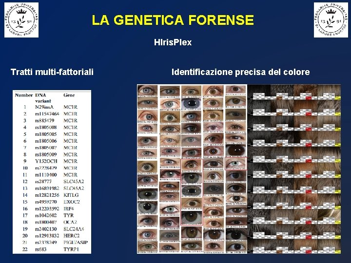 LA GENETICA FORENSE HIris. Plex Tratti multi-fattoriali Identificazione precisa del colore 