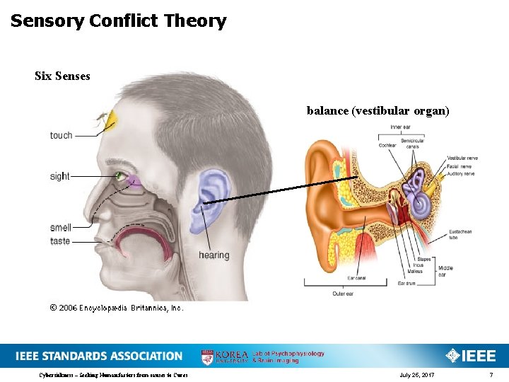 Sensory Conflict Theory Six Senses balance (vestibular organ) Cybersickness – Seeking Human factors from