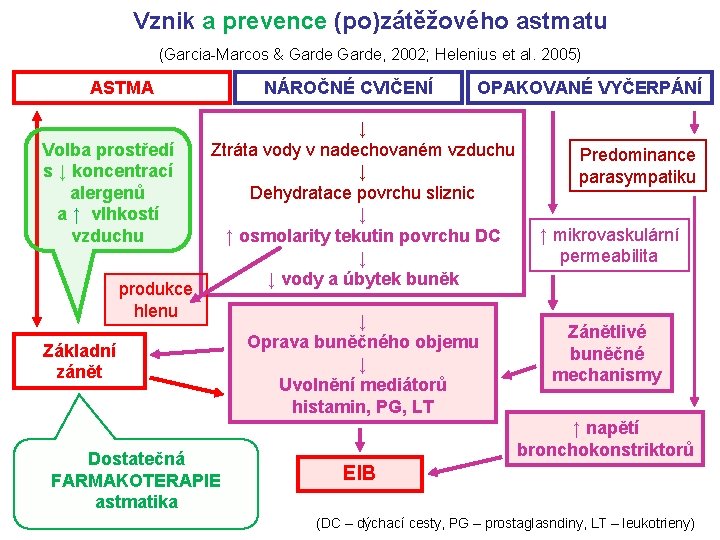 Vznik a prevence (po)zátěžového astmatu (Garcia-Marcos & Garde, 2002; Helenius et al. 2005) ASTMA