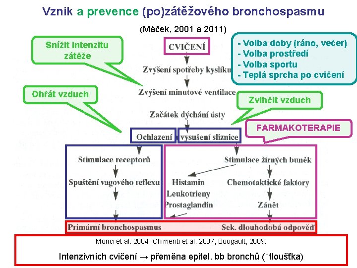 Vznik a prevence (po)zátěžového bronchospasmu (Máček, 2001 a 2011) Snížit intenzitu zátěže Ohřát vzduch