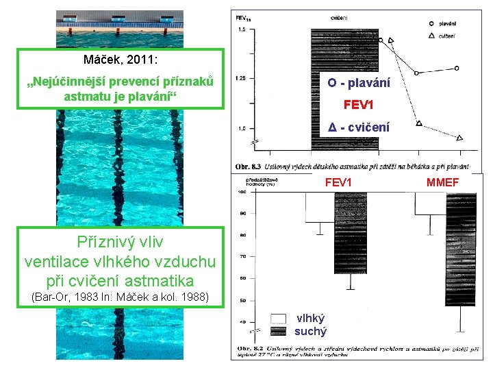 Máček, 2011: „Nejúčinnější prevencí příznaků astmatu je plavání“ O - plavání FEV 1 Δ