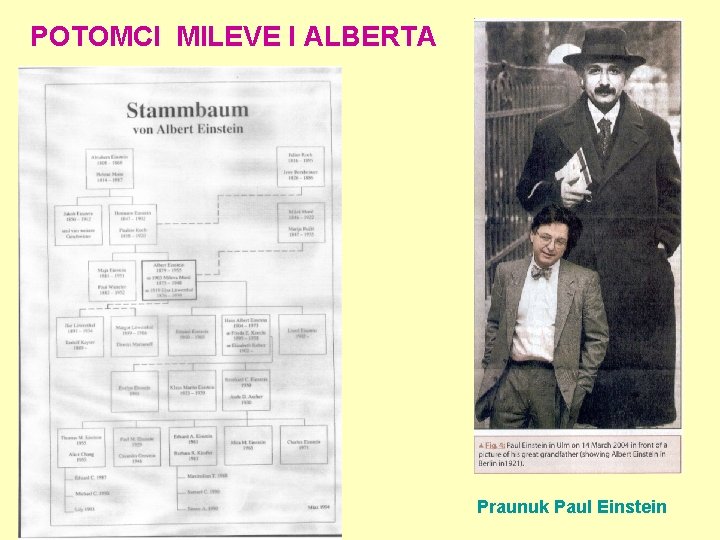 POTOMCI MILEVE I ALBERTA Praunuk Paul Einstein 