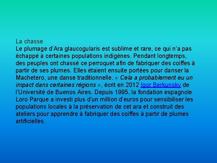 La chasse Le plumage d’Ara glaucogularis est sublime et rare, ce qui n’a pas