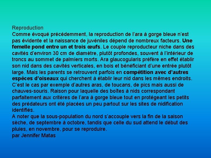 Reproduction Comme évoqué précédemment, la reproduction de l’ara à gorge bleue n’est pas évidente