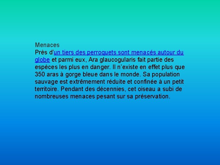 Menaces Près d’un tiers des perroquets sont menacés autour du globe et parmi eux,