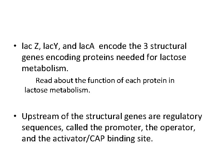  • lac Z, lac. Y, and lac. A encode the 3 structural genes