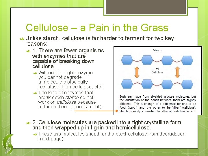 Cellulose – a Pain in the Grass Unlike starch, cellulose is far harder to