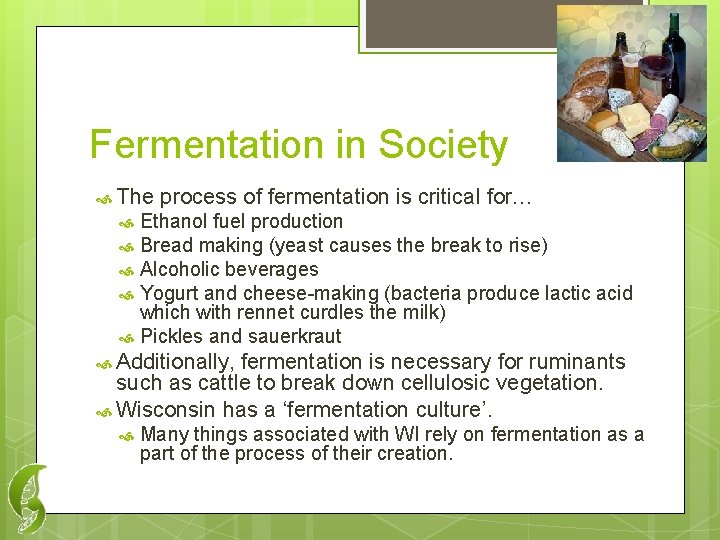 Fermentation in Society The process of fermentation is critical for… Ethanol fuel production Bread