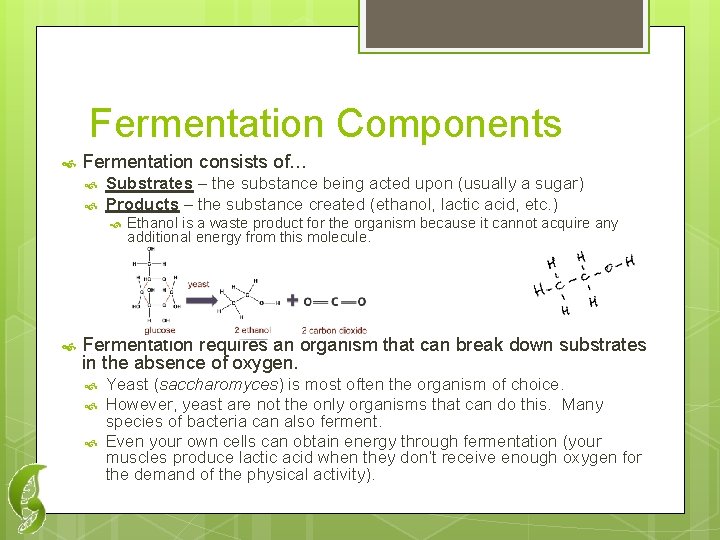 Fermentation Components Fermentation consists of… Substrates – the substance being acted upon (usually a