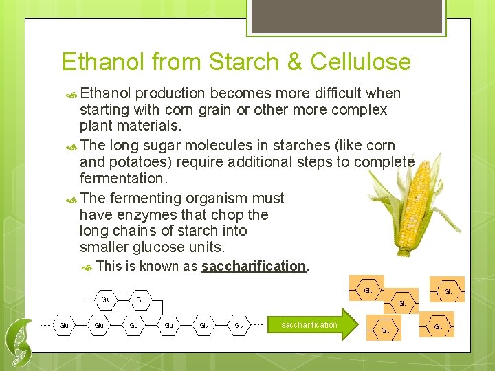 Ethanol from Starch & Cellulose Ethanol production becomes more difficult when starting with corn
