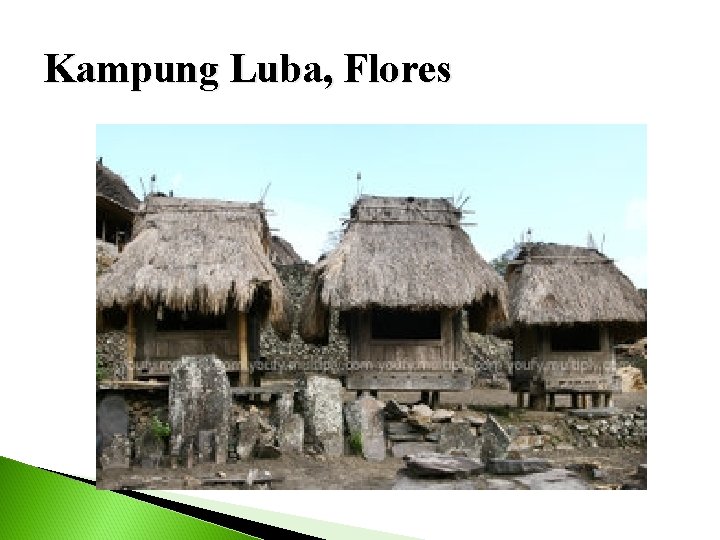 Kampung Luba, Flores 