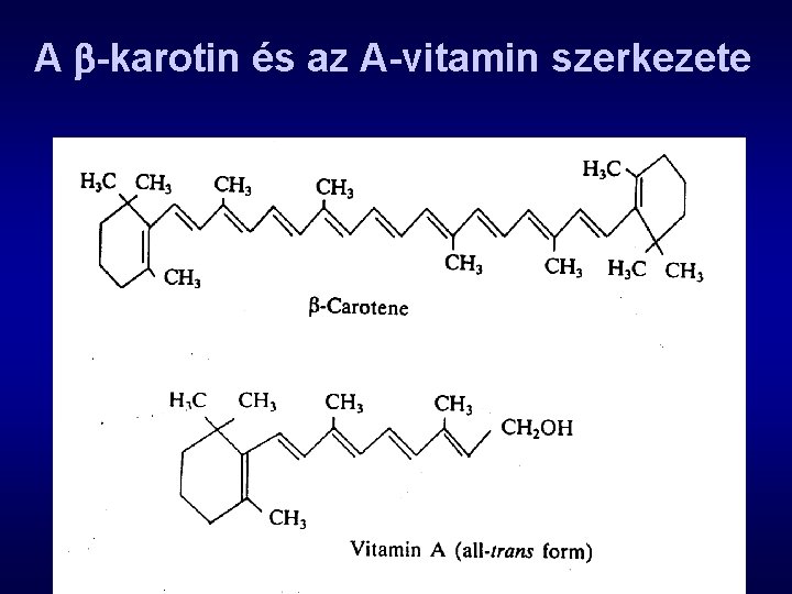 A -karotin és az A-vitamin szerkezete 