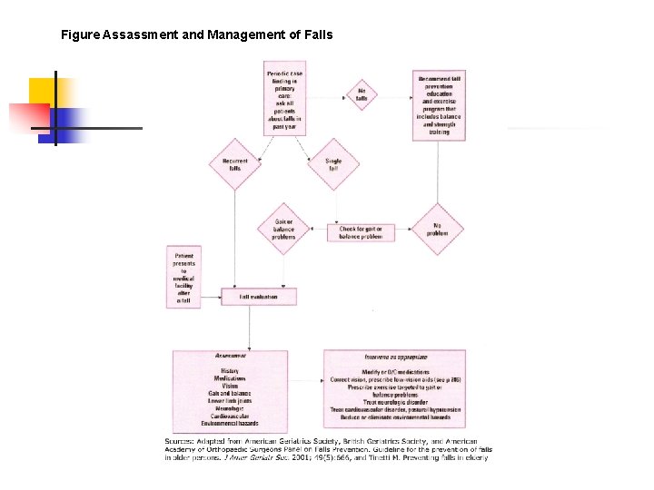 Figure Assassment and Management of Falls 