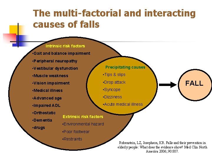 The multi-factorial and interacting causes of falls Intrinsic risk factors • Gait and balance
