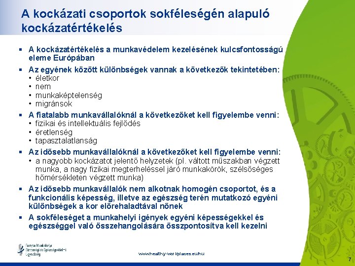 A kockázati csoportok sokféleségén alapuló kockázatértékelés § A kockázatértékelés a munkavédelem kezelésének kulcsfontosságú eleme