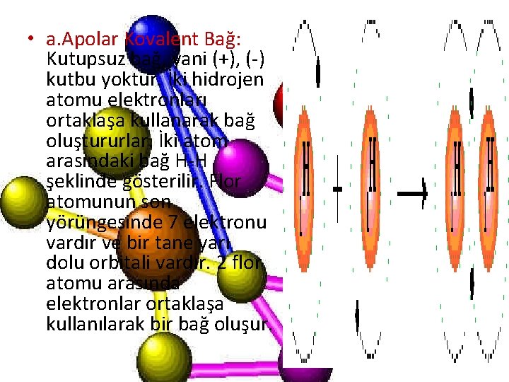  • a. Apolar Kovalent Bağ: Kutupsuz bağ, yani (+), (-) kutbu yoktur. İki