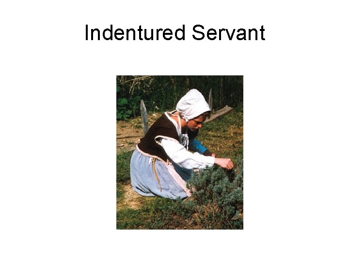 Indentured Servant 