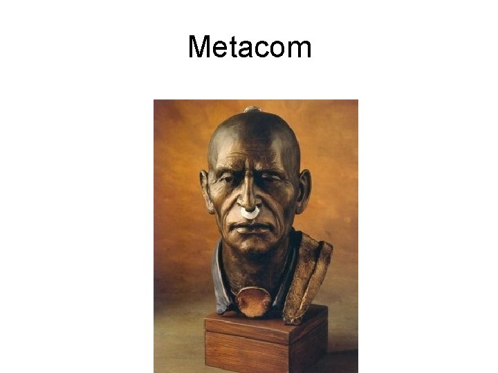 Metacom 