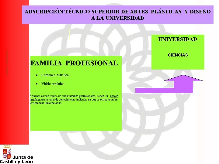 ADSCRIPCIÓN TÉCNICO SUPERIOR DE ARTES PLÁSTICAS Y DISEÑO A LA UNIVERSIDAD CIENCIAS . 