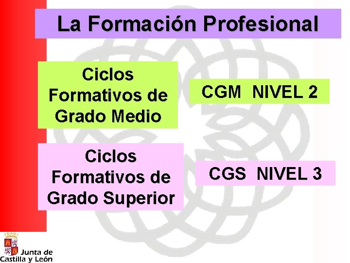 La Formación Profesional Ciclos Formativos de Grado Medio Ciclos Formativos de Grado Superior CGM