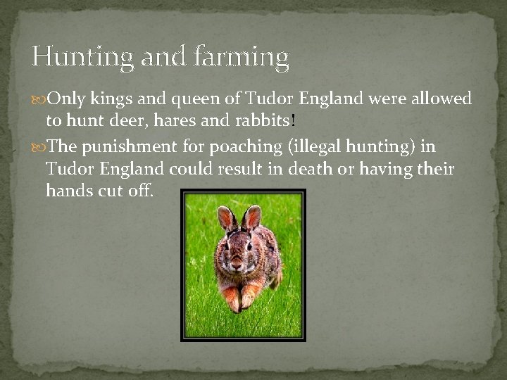 Hunting and farming Only kings and queen of Tudor England were allowed to hunt