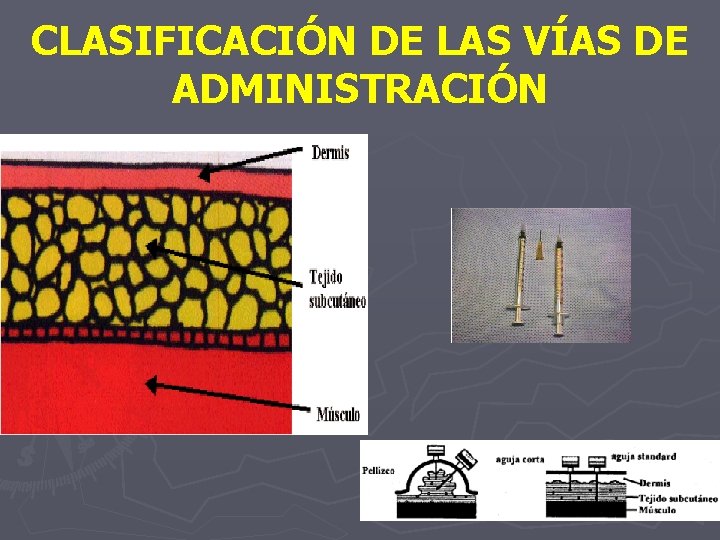 CLASIFICACIÓN DE LAS VÍAS DE ADMINISTRACIÓN 