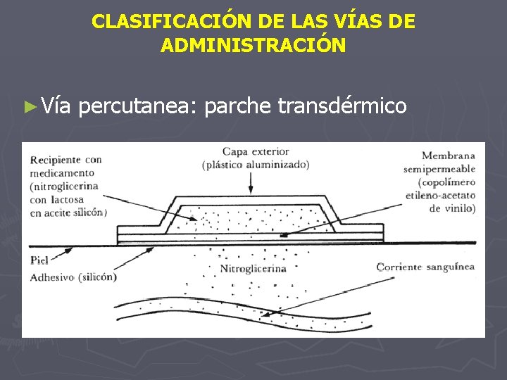 CLASIFICACIÓN DE LAS VÍAS DE ADMINISTRACIÓN ► Vía percutanea: parche transdérmico 