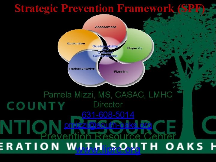 Strategic Prevention Framework (SPF) Pamela Mizzi, MS, CASAC, LMHC Director 631 -608 -5014 pmizzi@south-oaks.