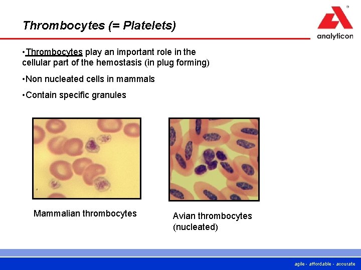 Basics of Hematology cell counting agile affordable accurate Basics of Hematology cell counting agile affordable accurate