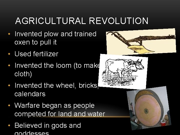 AGRICULTURAL REVOLUTION • Invented plow and trained oxen to pull it • Used fertilizer