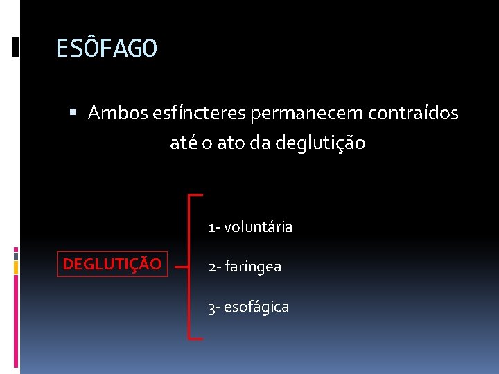 ESÔFAGO Ambos esfíncteres permanecem contraídos até o ato da deglutição 1 - voluntária DEGLUTIÇÃO