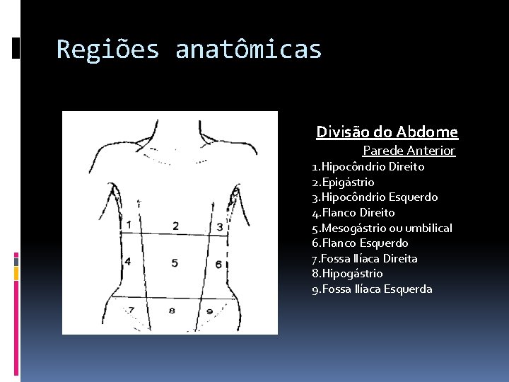 Regiões anatômicas Divisão do Abdome Parede Anterior 1. Hipocôndrio Direito 2. Epigástrio 3. Hipocôndrio