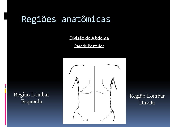 Regiões anatômicas Divisão do Abdome Parede Posterior Região Lombar Esquerda Região Lombar Direita 