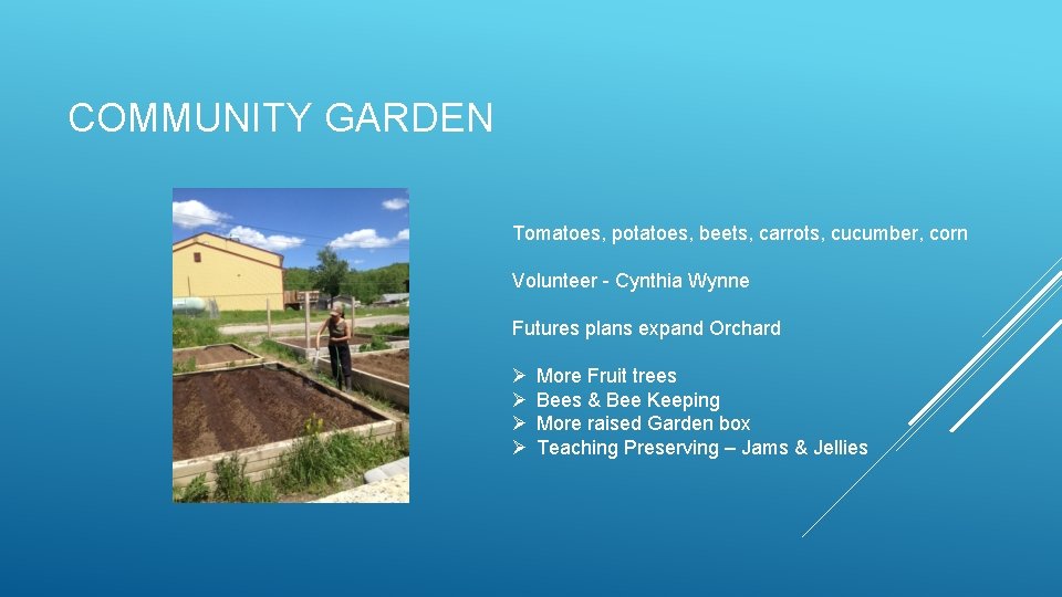 COMMUNITY GARDEN Tomatoes, potatoes, beets, carrots, cucumber, corn Volunteer - Cynthia Wynne Futures plans