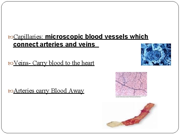  Capillaries: microscopic blood vessels which connect arteries and veins Veins- Carry blood to