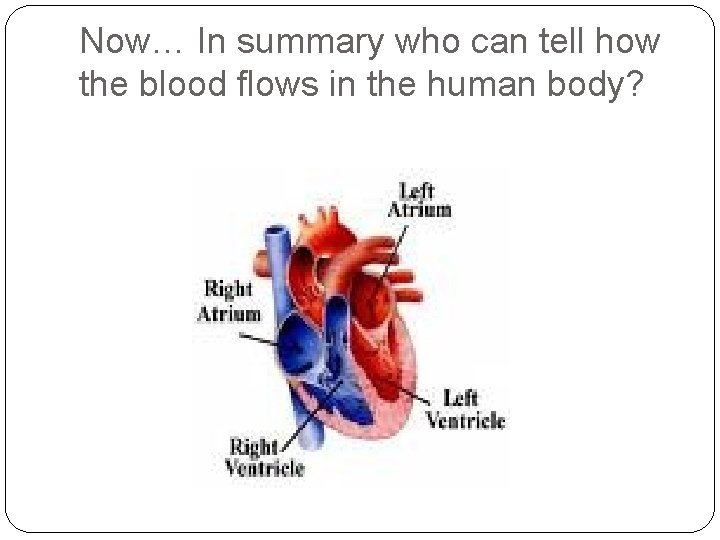 Now… In summary who can tell how the blood flows in the human body?