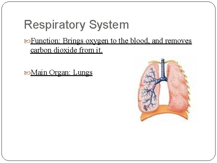 Respiratory System Function: Brings oxygen to the blood, and removes carbon dioxide from it.