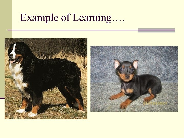 Example of Learning…. 