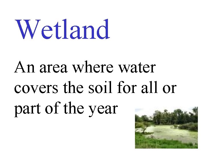 Wetland An area where water covers the soil for all or part of the