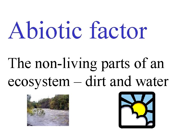 Abiotic factor The non-living parts of an ecosystem – dirt and water 