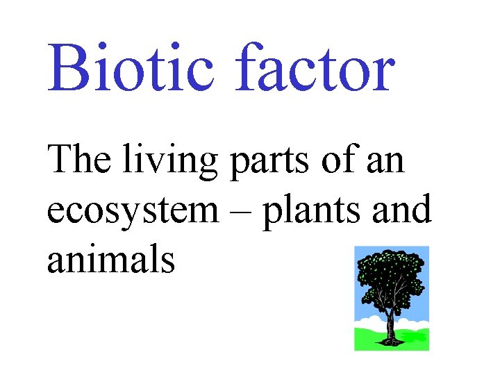 Biotic factor The living parts of an ecosystem – plants and animals 
