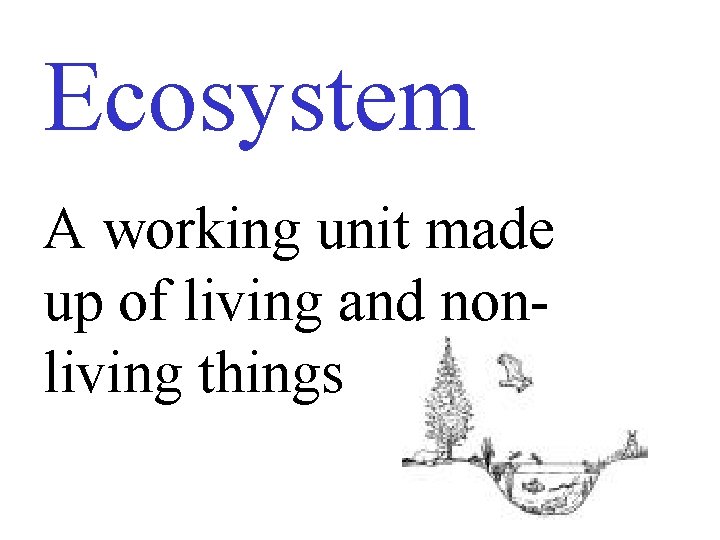 Ecosystem A working unit made up of living and nonliving things 