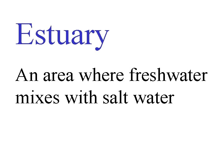 Estuary An area where freshwater mixes with salt water 