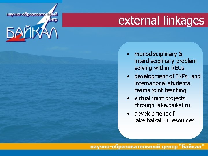 external linkages • monodisciplinary & interdisciplinary problem solving within REUs • development of INPs