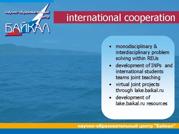 international cooperation • monodisciplinary & interdisciplinary problem solving within REUs • development of INPs