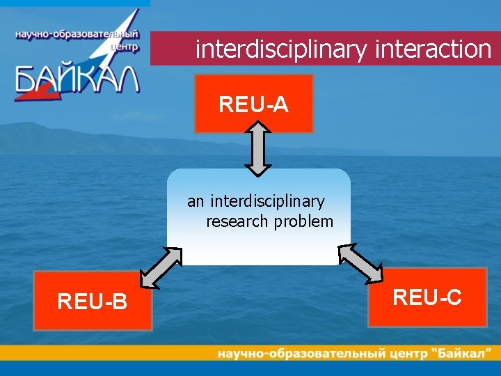interdisciplinary interaction REU-A an interdisciplinary research problem REU-B REU-C 