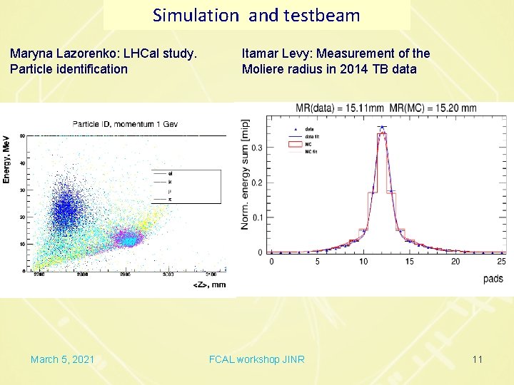 Simulation and testbeam Maryna Lazorenko: LHCal study. Particle identification March 5, 2021 Itamar Levy: