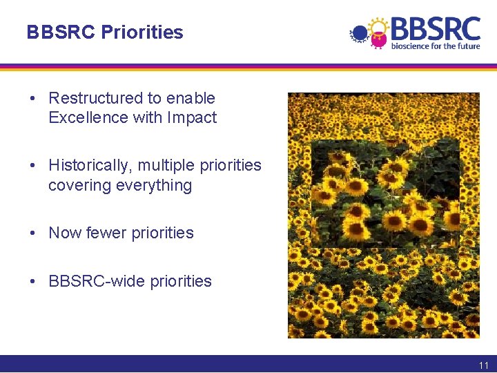 BBSRC Priorities • Restructured to enable Excellence with Impact • Historically, multiple priorities covering